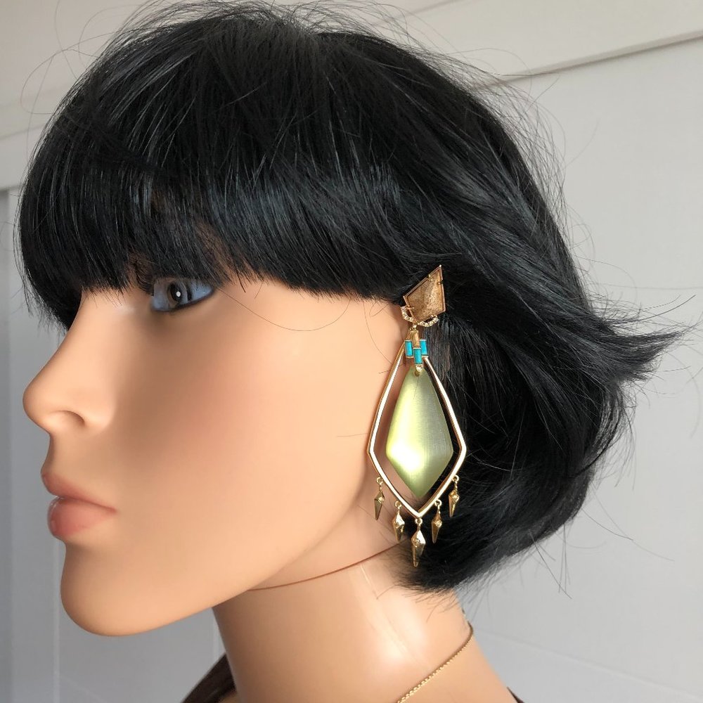 Large Lucite earrings
